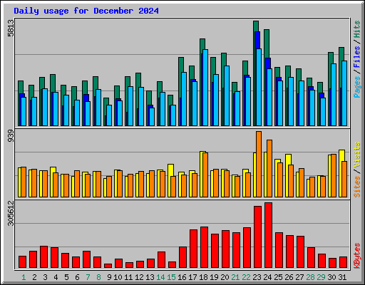 Daily usage for December 2024