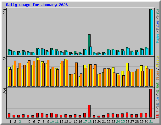 Daily usage for January 2026