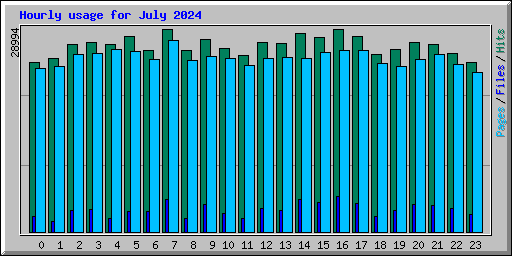 Hourly usage for July 2024