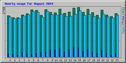 Hourly usage for August 2024