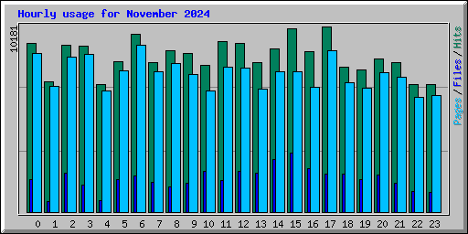 Hourly usage for November 2024