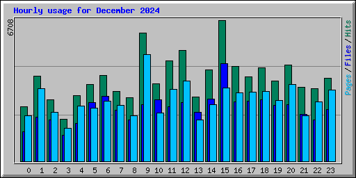 Hourly usage for December 2024