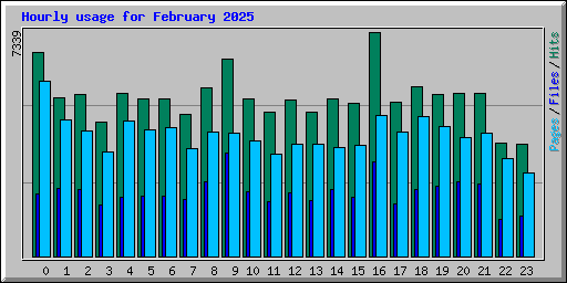 Hourly usage for February 2025