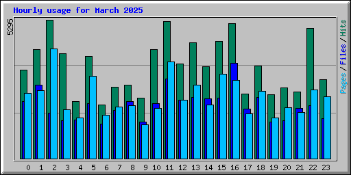 Hourly usage for March 2025