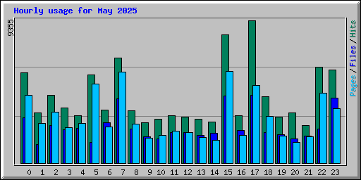 Hourly usage for May 2025