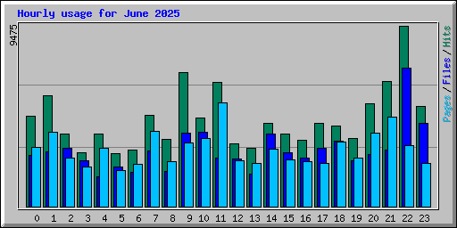 Hourly usage for June 2025