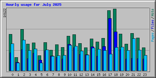 Hourly usage for July 2025