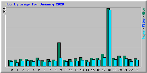 Hourly usage for January 2026
