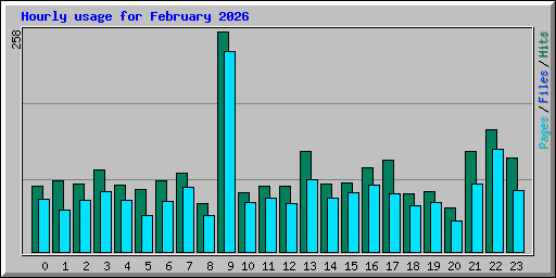 Hourly usage for February 2026