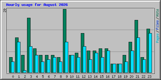 Hourly usage for August 2026